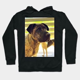 Majestic Doggo Hoodie